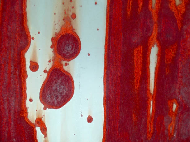 rust erosion red color on metal sheet surface