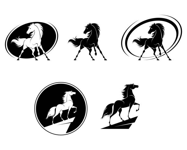 Set of horse icons Vector illustration of set of horse icons mustang stock illustrations