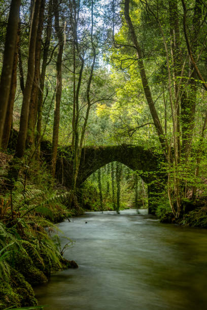 istock Old rock bridge over Filveda river 946873414