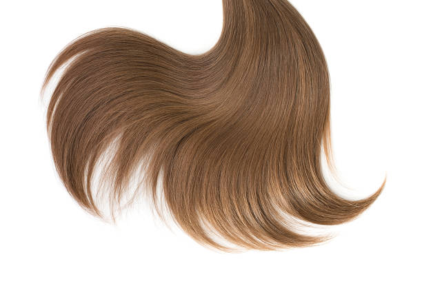 istock Curl of natural hair on a white background 946876964