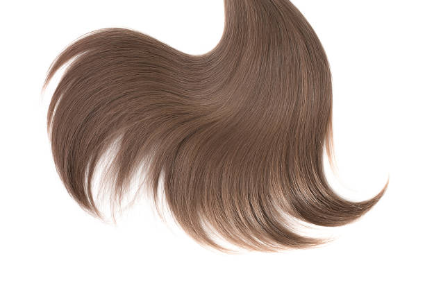 istock Curl of natural hair on a white background 946876992
