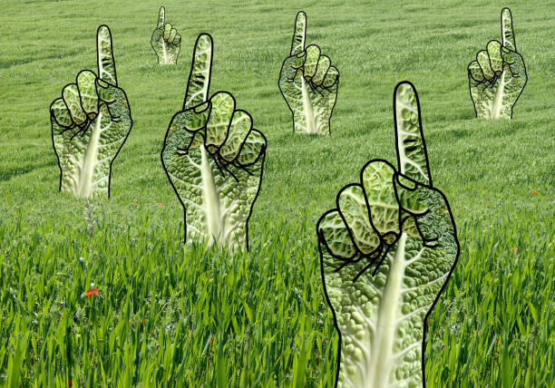 istock Raised Green Pointing Hands in Grass Field 946880090