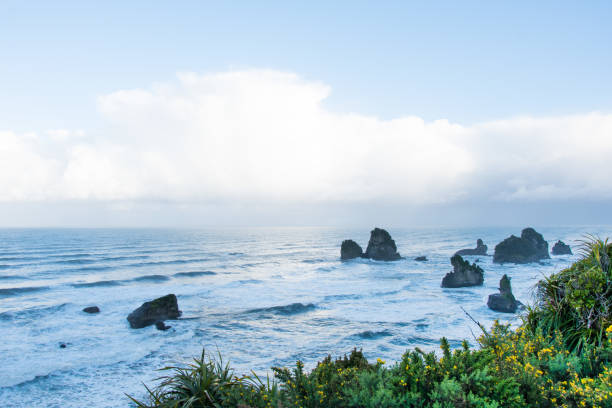 istock Early morning at Punakaiki Coast 7 946881104