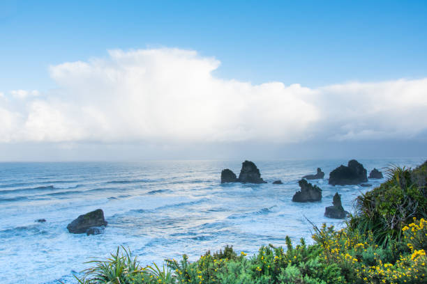 istock Early morning at Punakaiki Coast 2 946881110