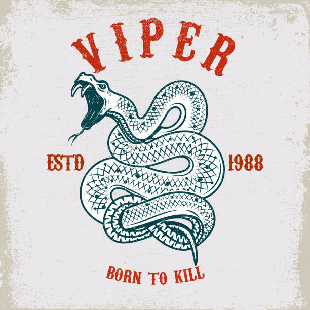 Viper snake illustration on grunge background. Design element for poster, card, t shirt. Viper snake illustration on grunge background. Design element for poster, card, t shirt. Vector illustration venom symbol stock illustrations