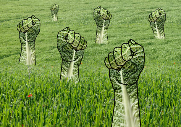 Raised Green Fists in Grass Field