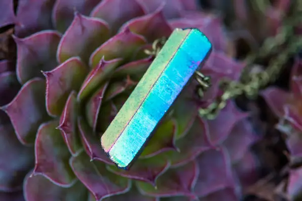 Natural shape of crystal quartz stone pendant on houseleek background