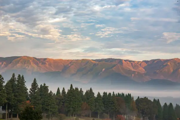 landscape of Mountain range that cross by road of laputa with green pine and fog cover by blue cloudy sky in Aso, Kumamoto, Japan in early winter at sunrise