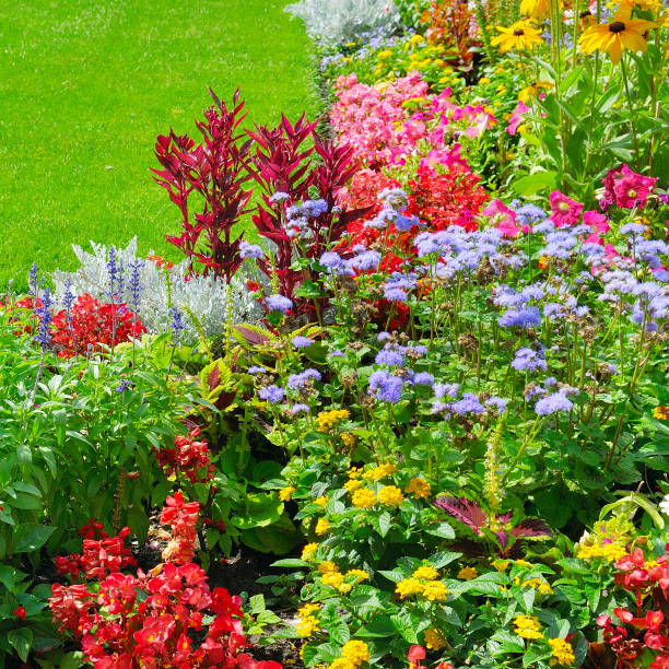 istock Summer flower bed and green lawn. Floral pattern . 946891252
