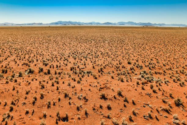 Great view over grassy desert plain and mountain range stock photo