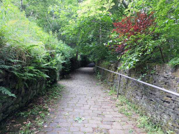 istock country lane descending a steep hill with cobbles and trees 946904334