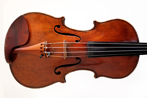 Violin on a white background closeup