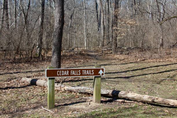 istock Hiking Trail in the Park 946927122