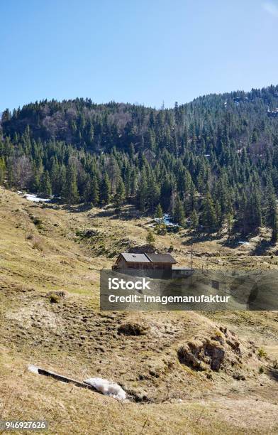 Alpine Landschaft Im Frühling Stockfoto Stockfoto und mehr Bilder von Agrarbetrieb - Agrarbetrieb, Alpen, Bauernhaus