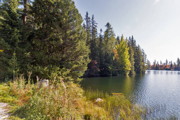 istock Strbske Lake landscape in Slovakia. 946928376