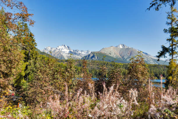 istock Strbske Lake landscape in Slovakia. 946928490