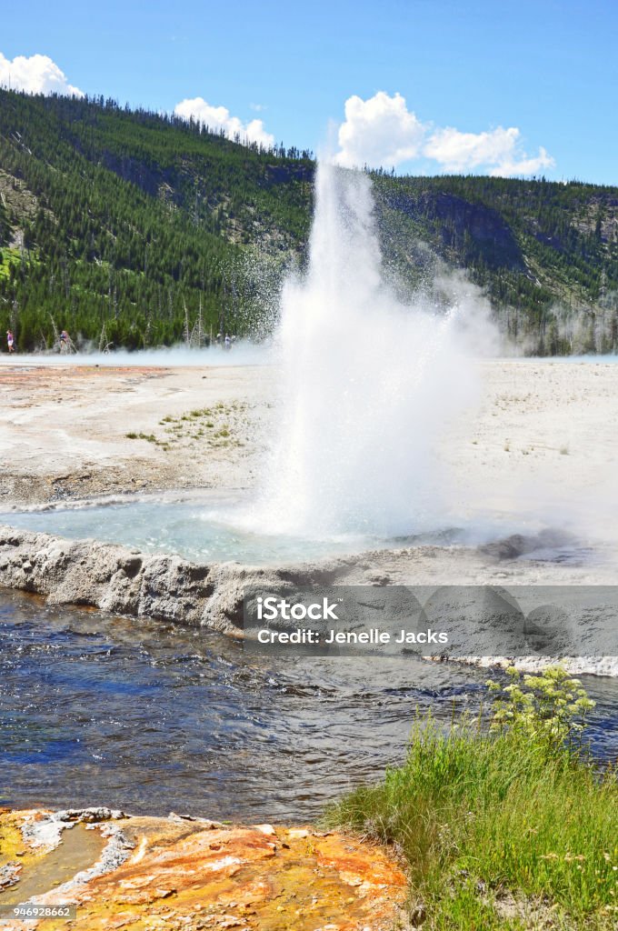 A small geyser in Yellowstone. A small geyser erupting in Yellowstone. Beauty In Nature Stock Photo