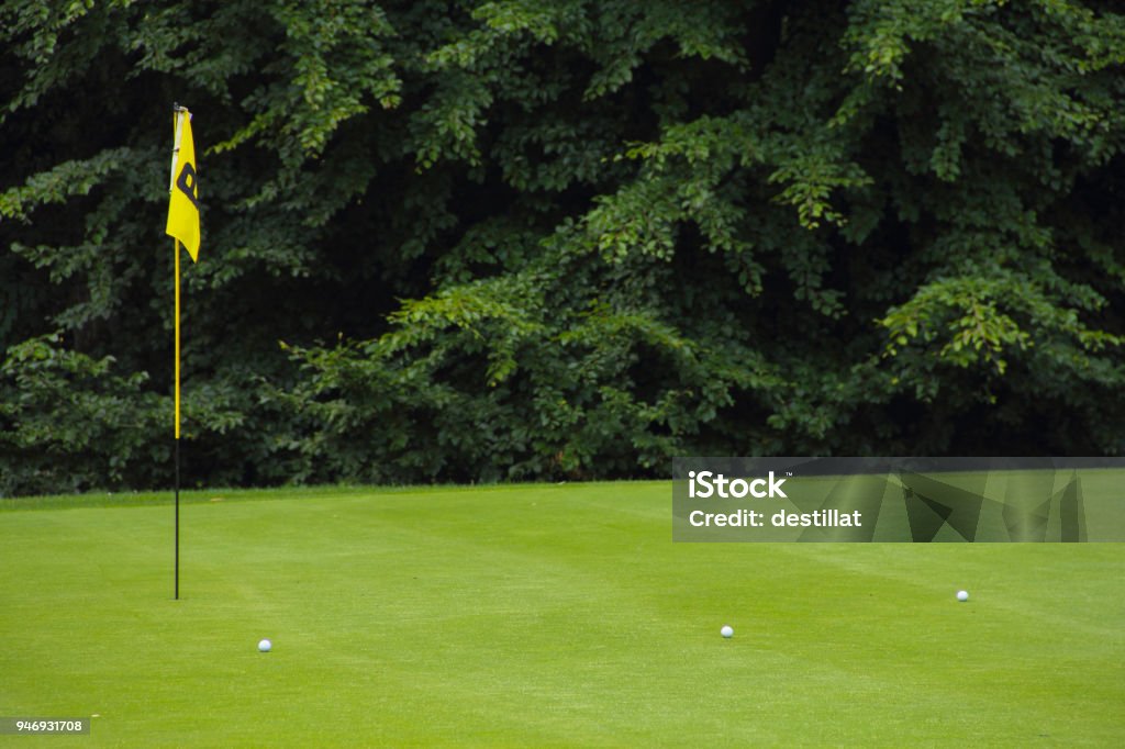 Golf flag on the green grass Golf flag on the green grass field close up Agricultural Field Stock Photo