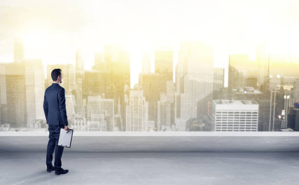 istock Businessman looking at a big city panorama 946935336
