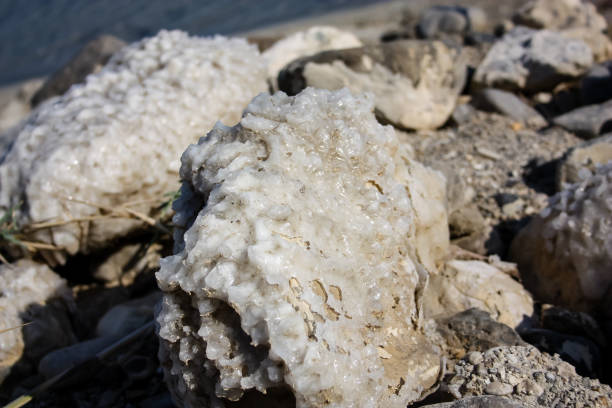 Dead Sea Surf