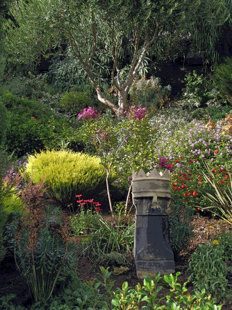 istock CHIMNEY GARDEN SCENE My back yard 946945684