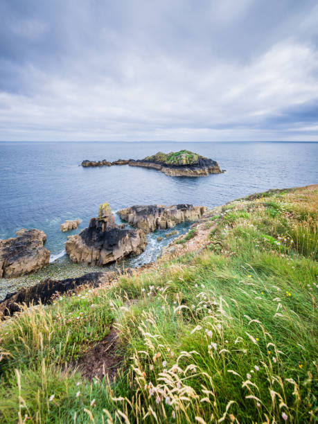 istock Caerfai Beach footpath area seascape view on a cloudy day West Wales UK. 946948698