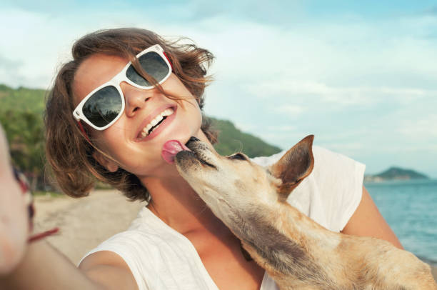istock Dog kisses his owner 946949174