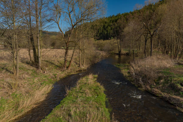 istock Tepla river in Teplicka village in spring morning 946957426