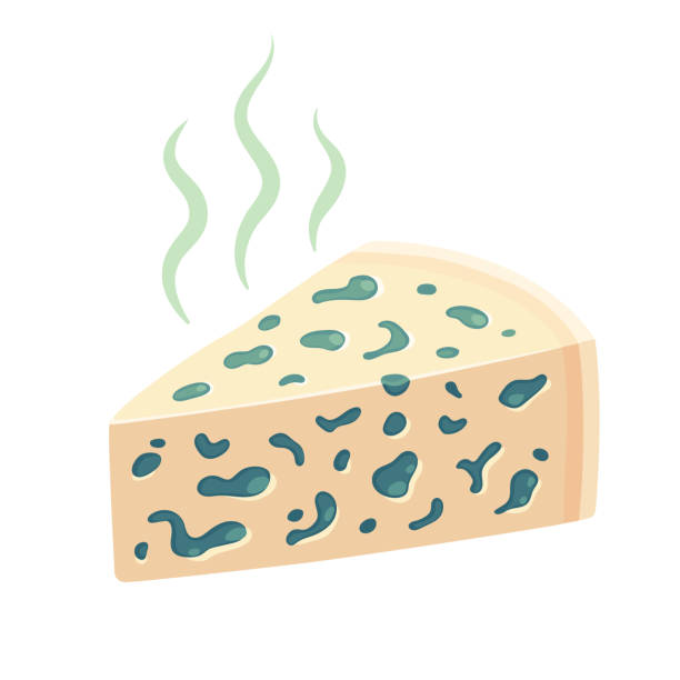 Stinky blue cheese Stinky blue cheese wedge, smelly food vector illustration. gorgonzola stock illustrations