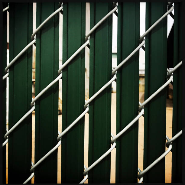 istock Green Privacy Fence 946957786