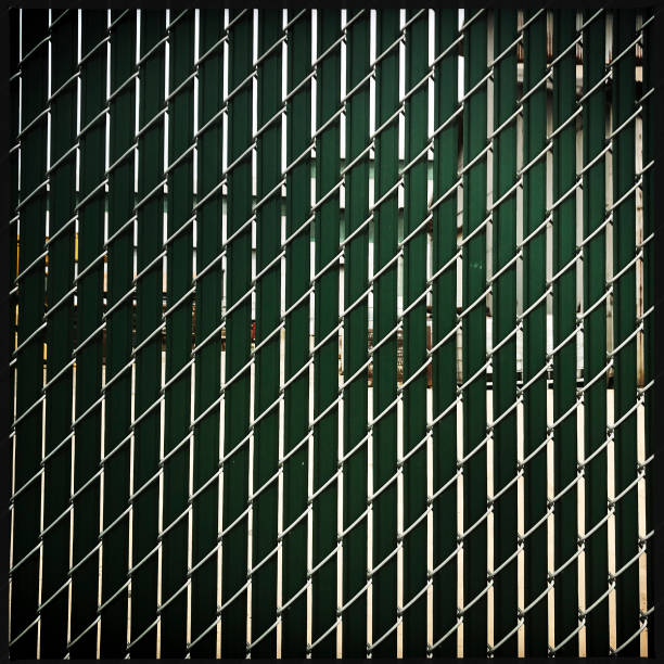 istock Green Privacy Fence 946957798