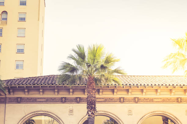 istock Palm tree in the sunlight on Hollywood Boulevard in Los Angeles 946964900