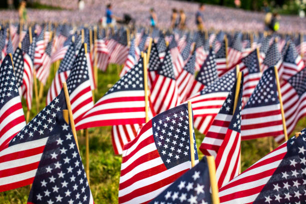 American flags to remember the Memorial Day. Gardens of Boston Common, Boston, Massachusetts, USA. Lots of American flags in the Boston Common gardens, Boston, Massachusetts, USA us memorial day photos stock pictures, royalty-free photos & images
