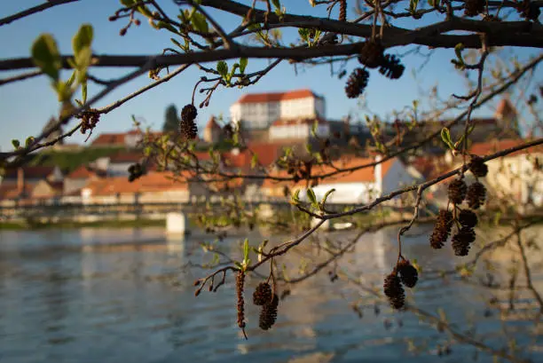 Ptuj is the oldest and one of the most beautiful cities in Slovenia