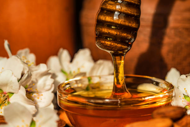 istock Almond honey, nuts and white flowers close 946972764