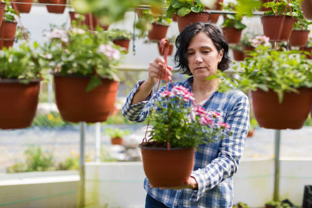 istock Woman work in the garden 946980908