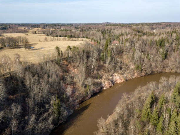 istock drone image. aerial view of forest river in spring. Gauja, Latvia 946982042