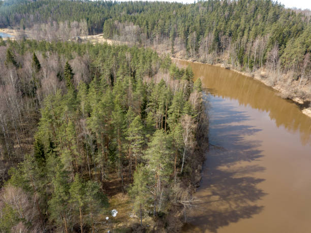 istock drone image. aerial view of forest river in spring. Gauja, Latvia 946986520