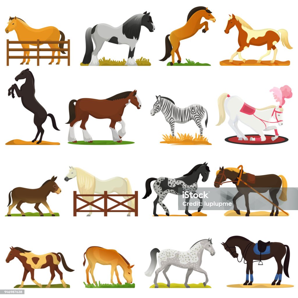 Hoạt Hình Ngựa Vector Động Vật Dễ Thương Của Chăn Nuôi Ngựa Hoặc ...