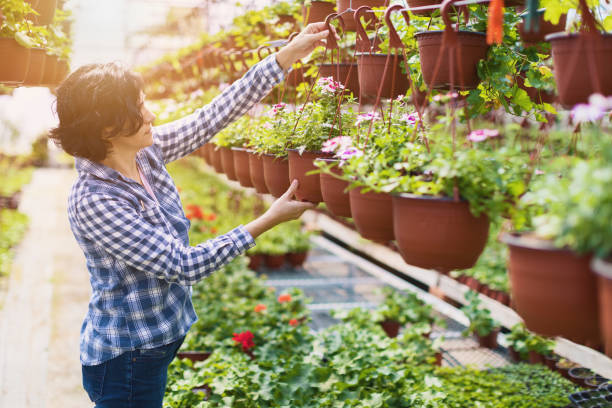 istock Woman work in the garden 946988536
