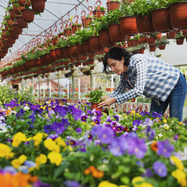 istock Woman work in the garden 946991604
