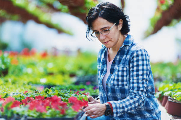 istock Woman work in the garden 946995364