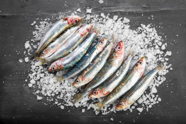 Fresh sardines on a coarse salt layer over a slate background stock photo