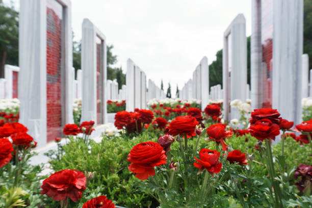 Turkish Cemetery, Battle of Gallipoli Canakkale, Turkey - March 25, 2018: Turkish cemetery for soldiers who death at from First World of War of the battle of Gallipoli in Canakkale, Turkey. martyr stock pictures, royalty-free photos & images