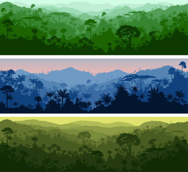 satz von vektor horizontale nahtlose tropischen regenwald dschungel hintergründe - amazonia stock-grafiken, -clipart, -cartoons und -symbole