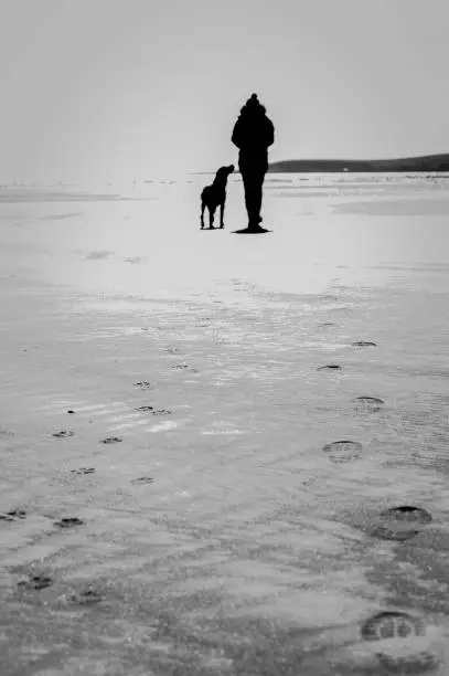 Silhouettes of person and faithfully dog with their footprints on a deserted beach