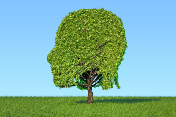 istock Human head shaped tree on the green grass against blue sky, 3D rendering 947004184