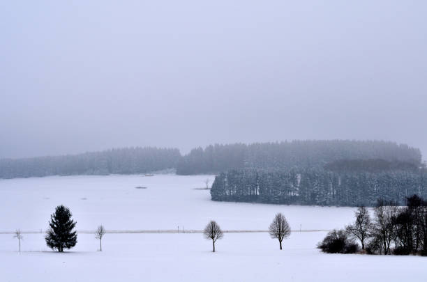 landscape with snow covered fields and forest