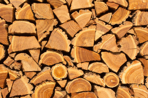 istock Wooden natural cut logs textured background, top view, flat lay 947025810