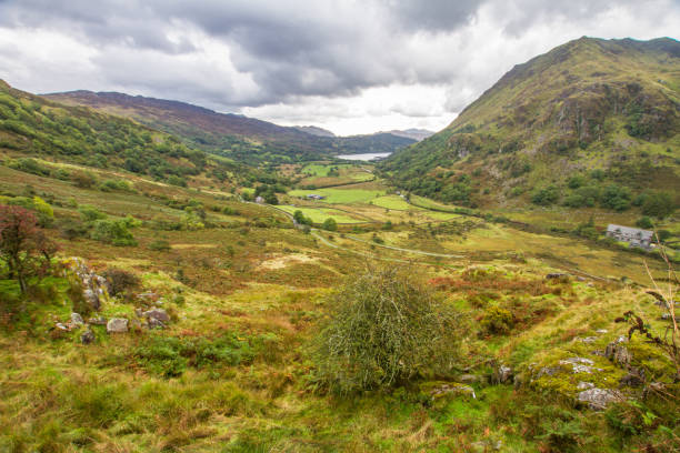 View from the Nant Gwynant Pass View towards Bedgellert down the nant Gwynant Pass. llyn gwynant stock pictures, royalty-free photos & images